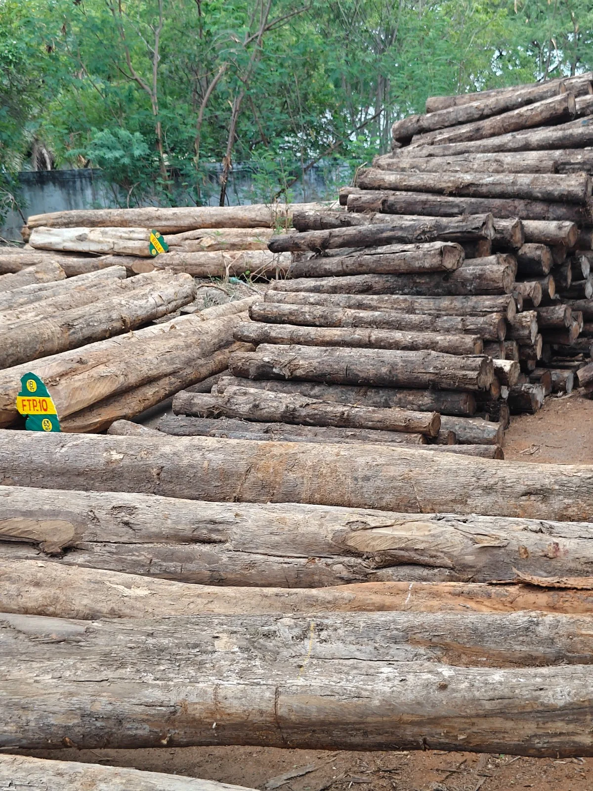 BENIN TEAK